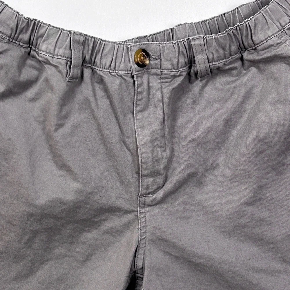 Chubbies Originals Shorts Mens Large 7